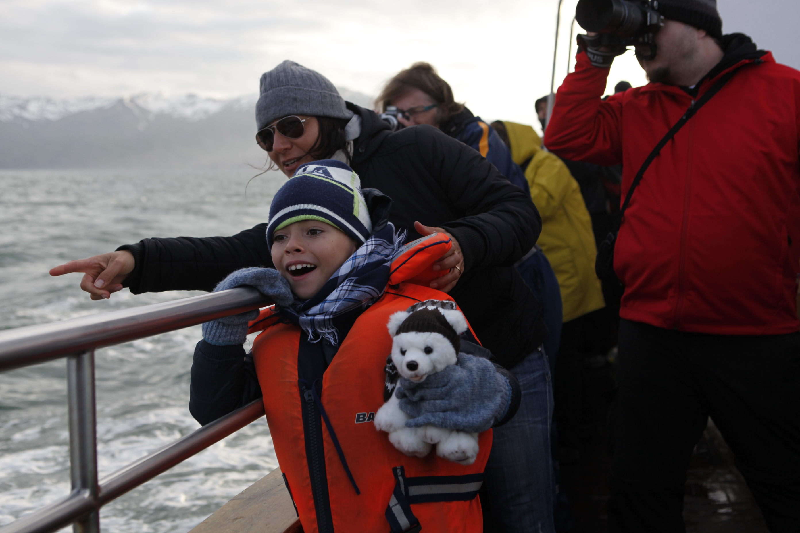 Whale watching boat cruise