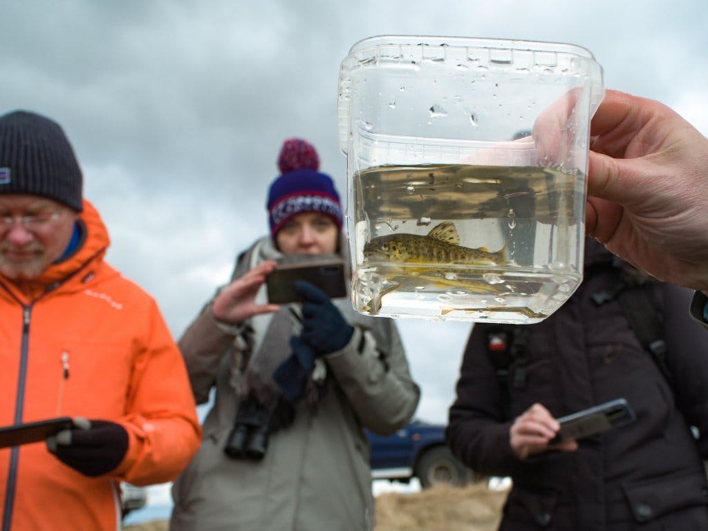 Study group examining fish