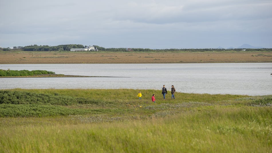 Kids walking in nature