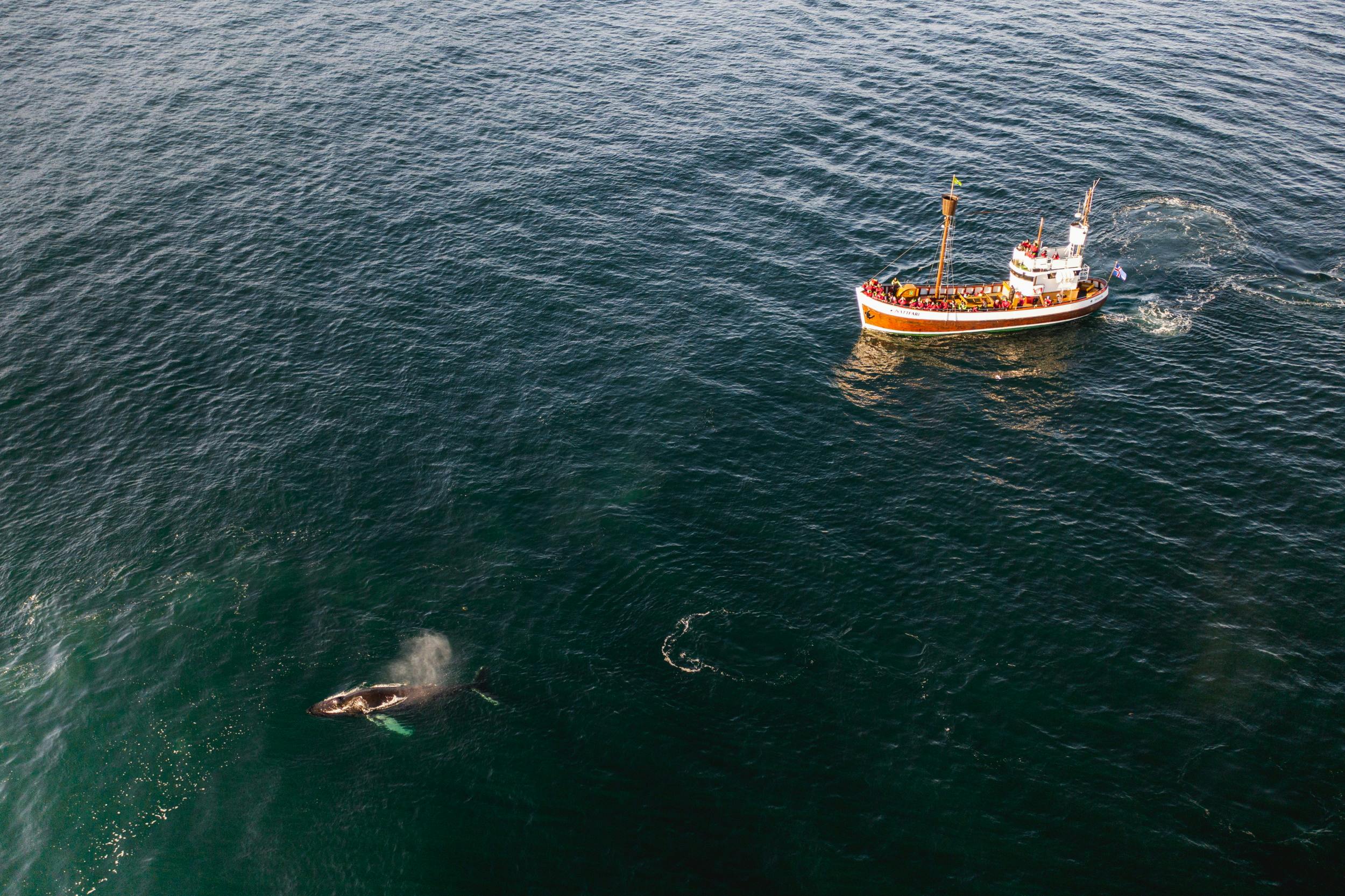 Whale watching boat by Húsavík