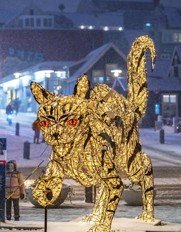 A light sculpture of the giant christmas cat
