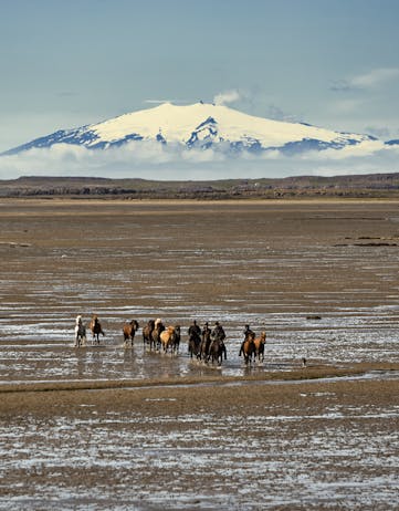 People riding horses on a beach in front of Snaefellsjokull volcano
