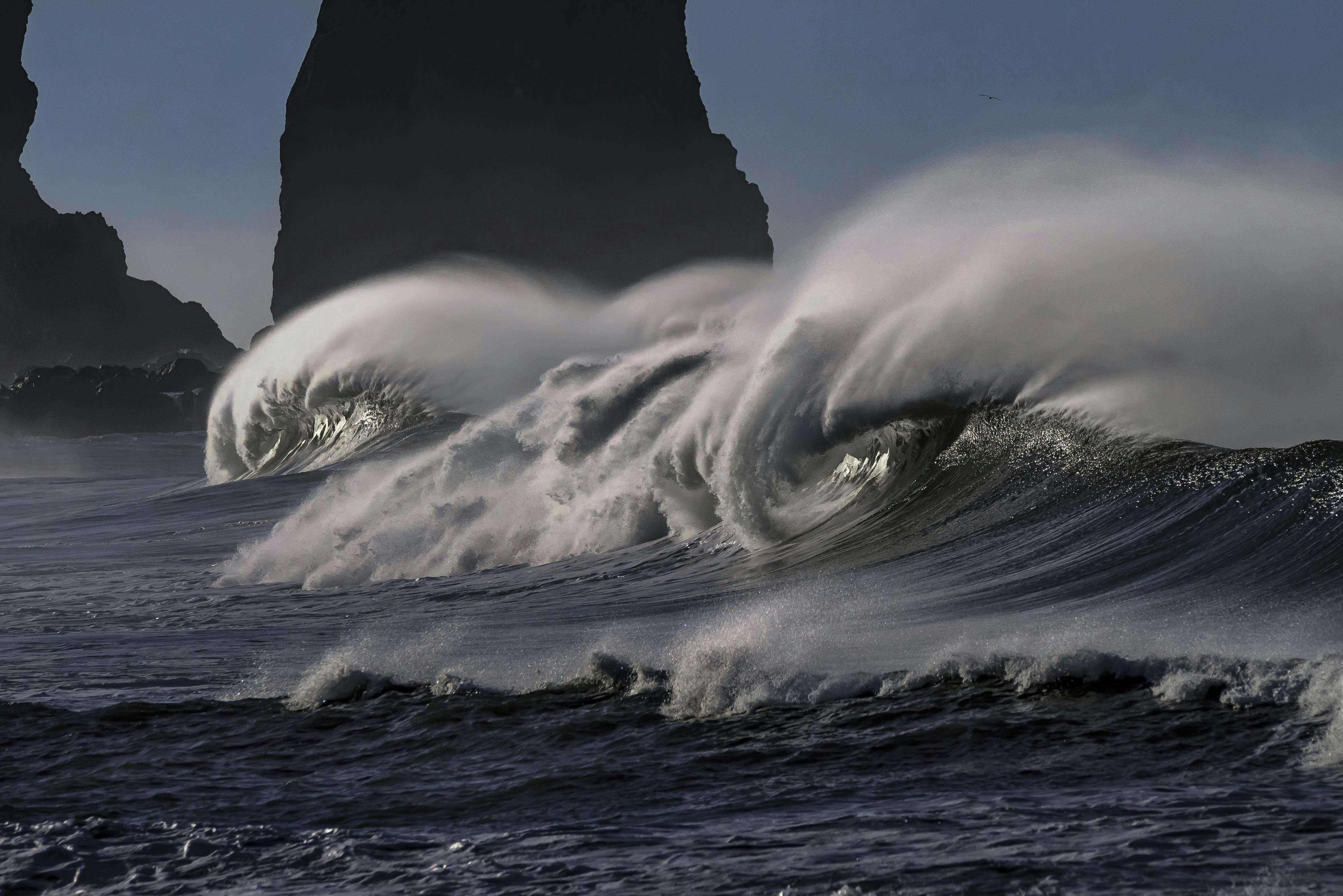 A large wave breaking on the coast