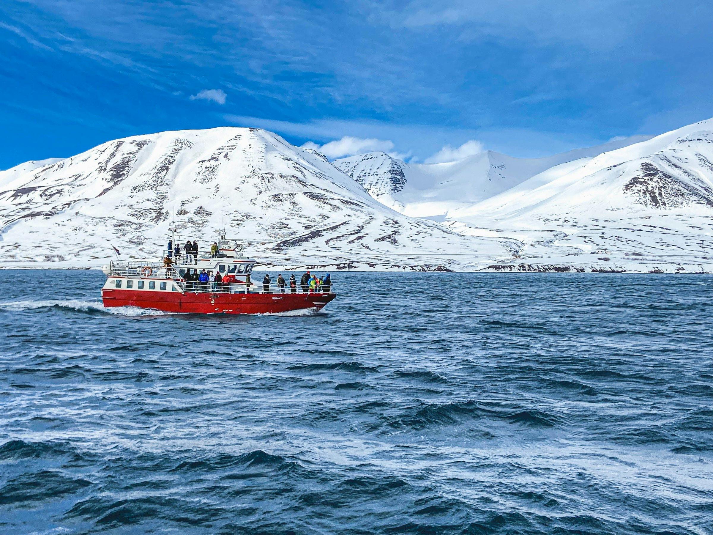 Eyja Fjord Whale Watching