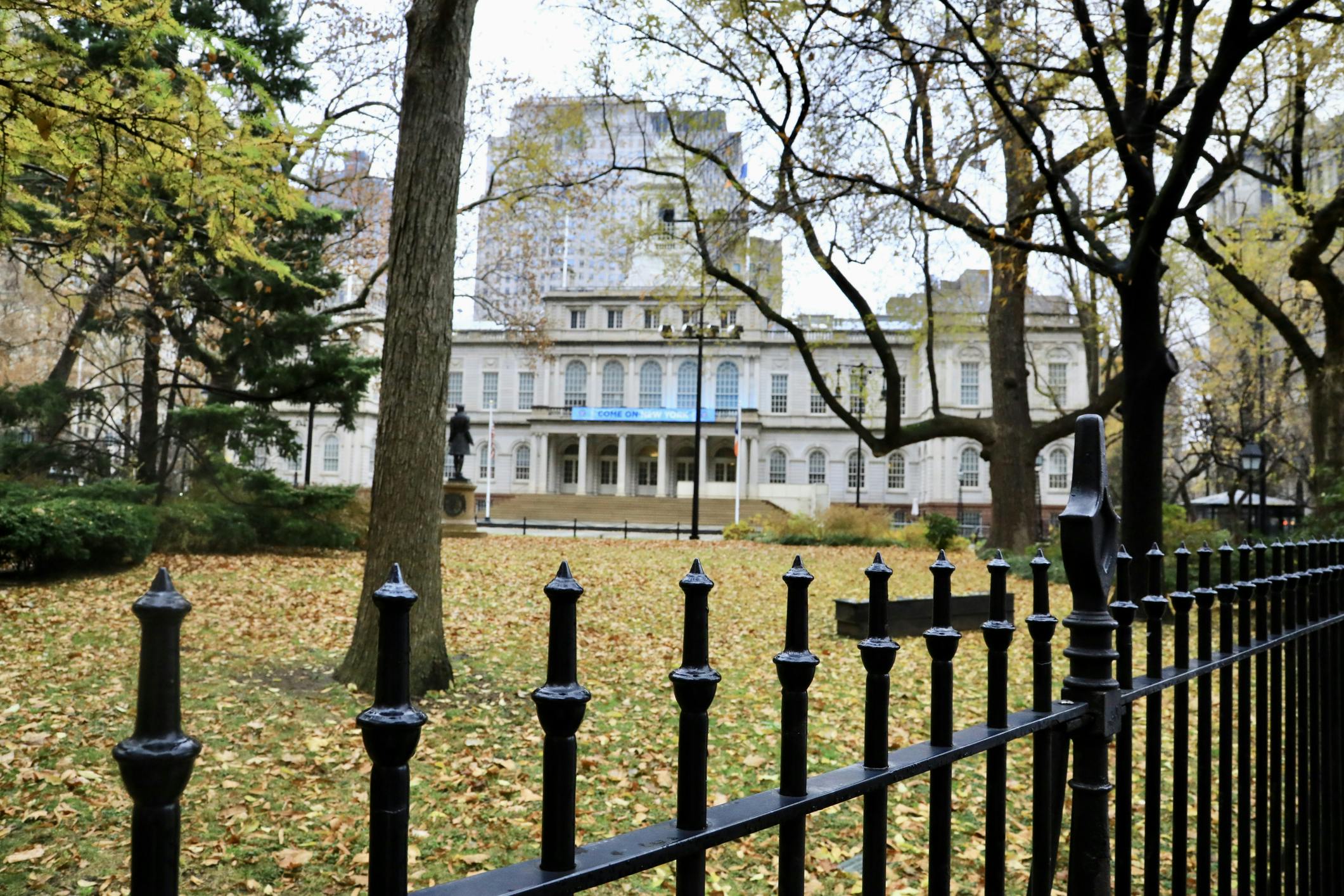 Protecting the Commons