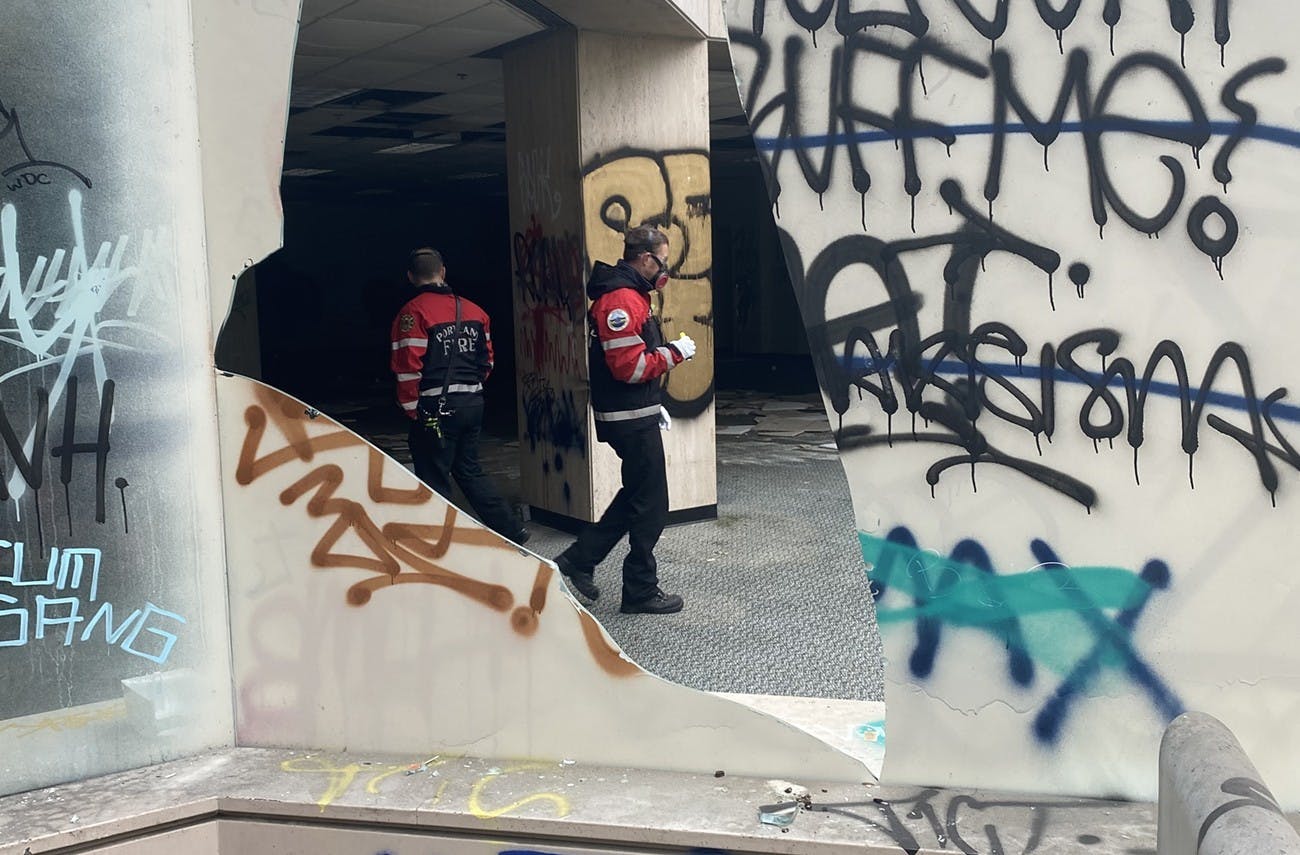 Portland, Portugal and the Lessons of Decriminalization