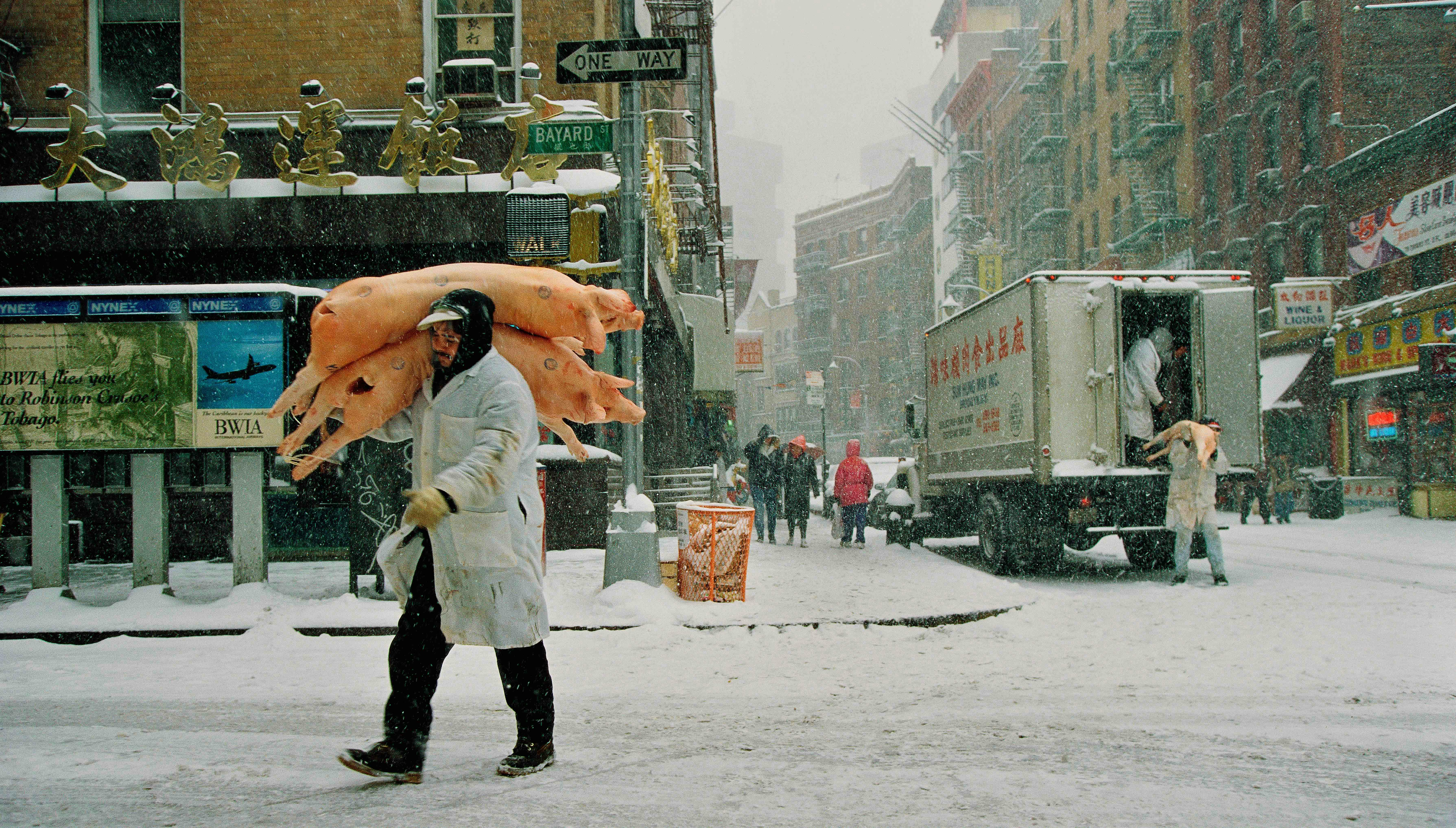 Beyond Human Frailty