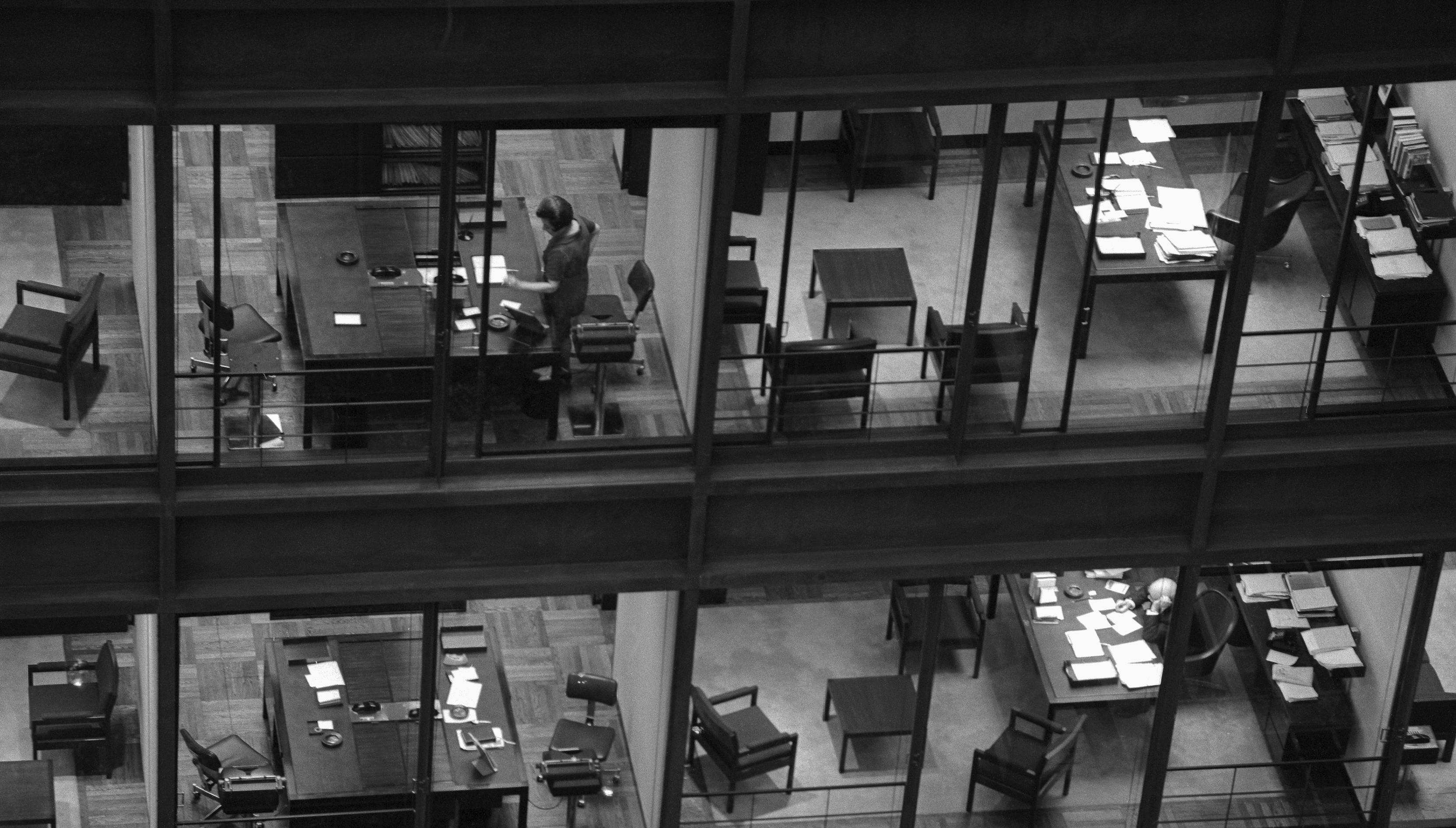 The Local Government Staffers We Need and Deserve