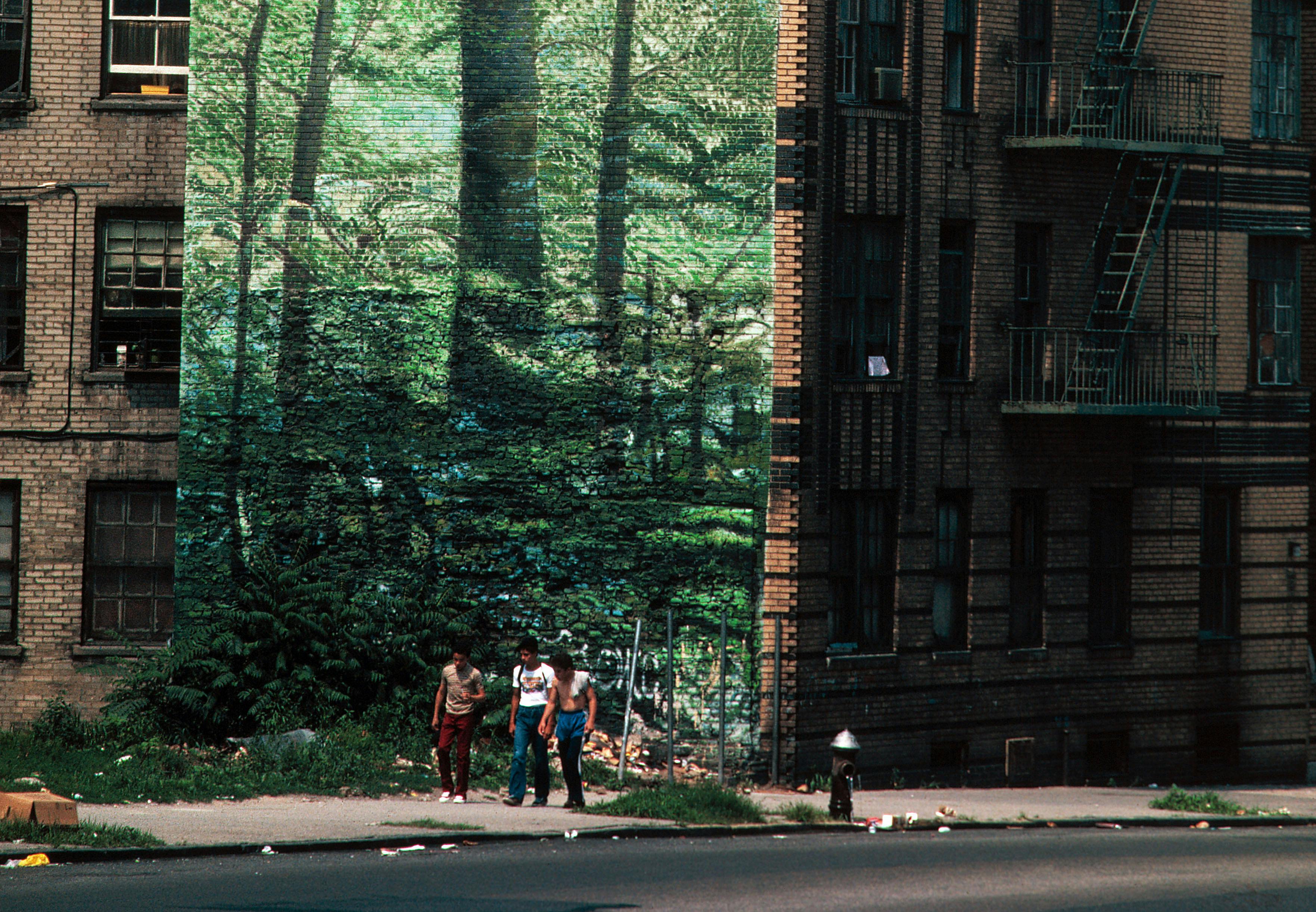 Welcome to Oz: A Look Behind the Government Curtain