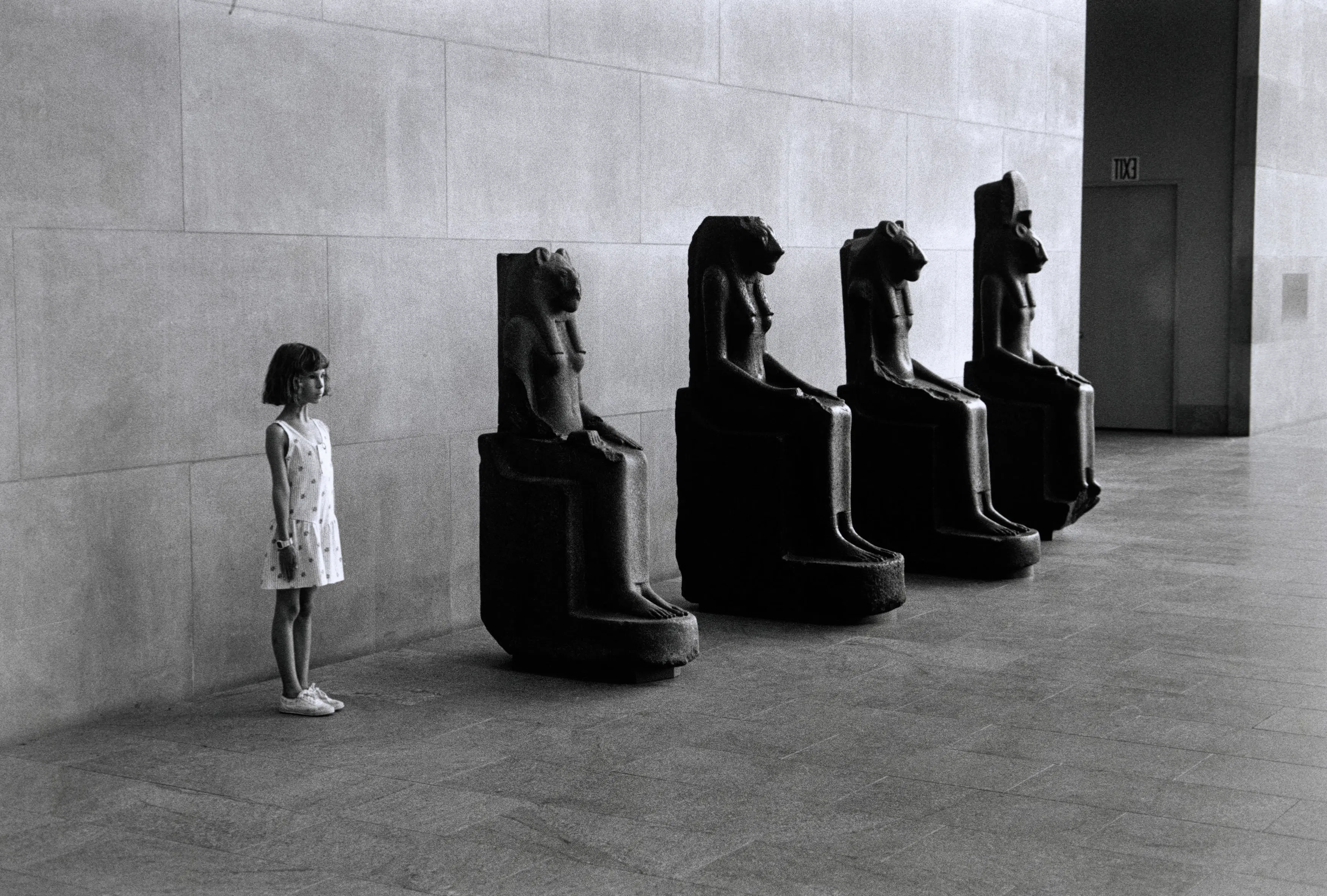 Our Museums, Ourselves