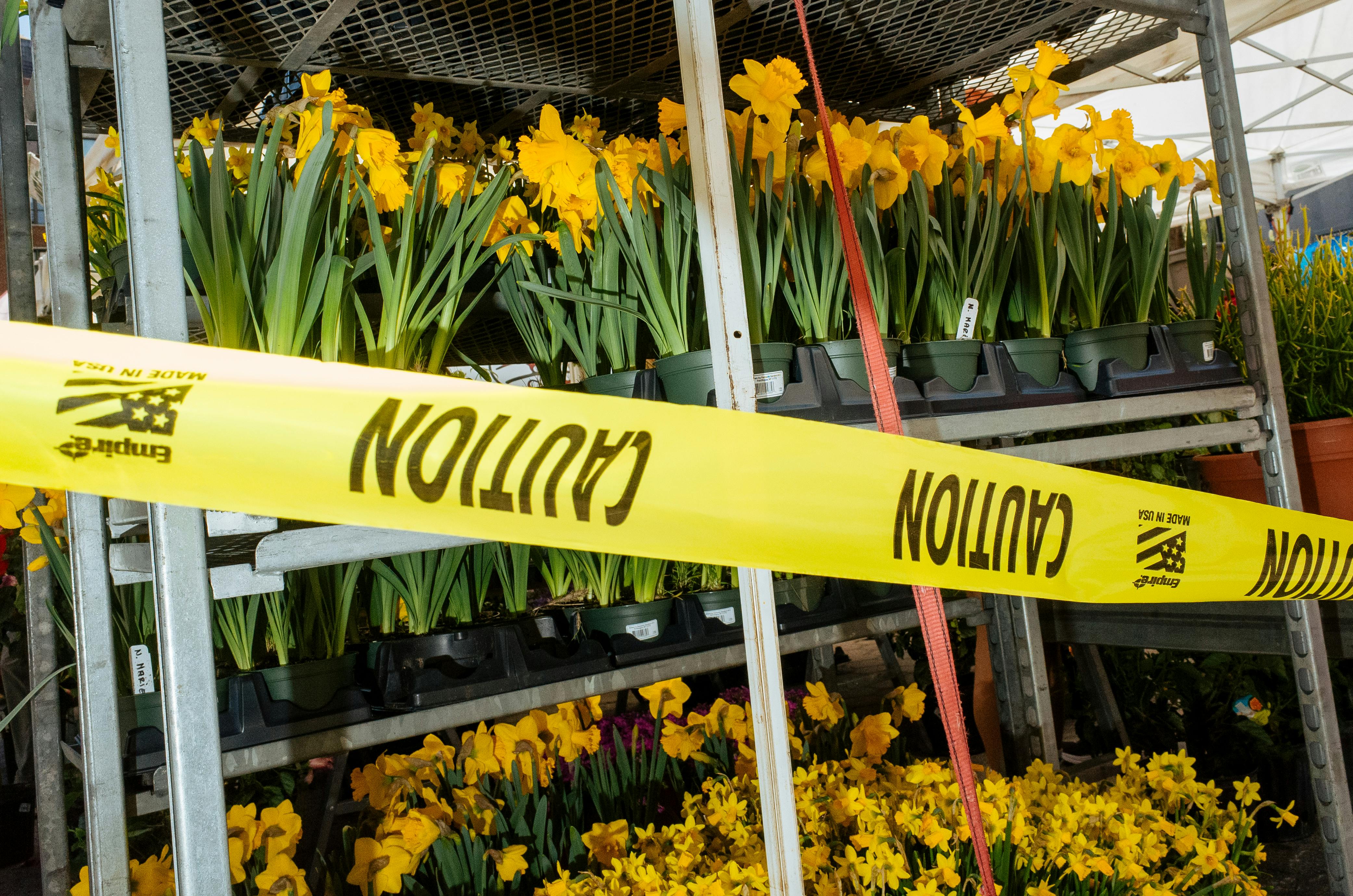 Historic Declines, Contested Borders