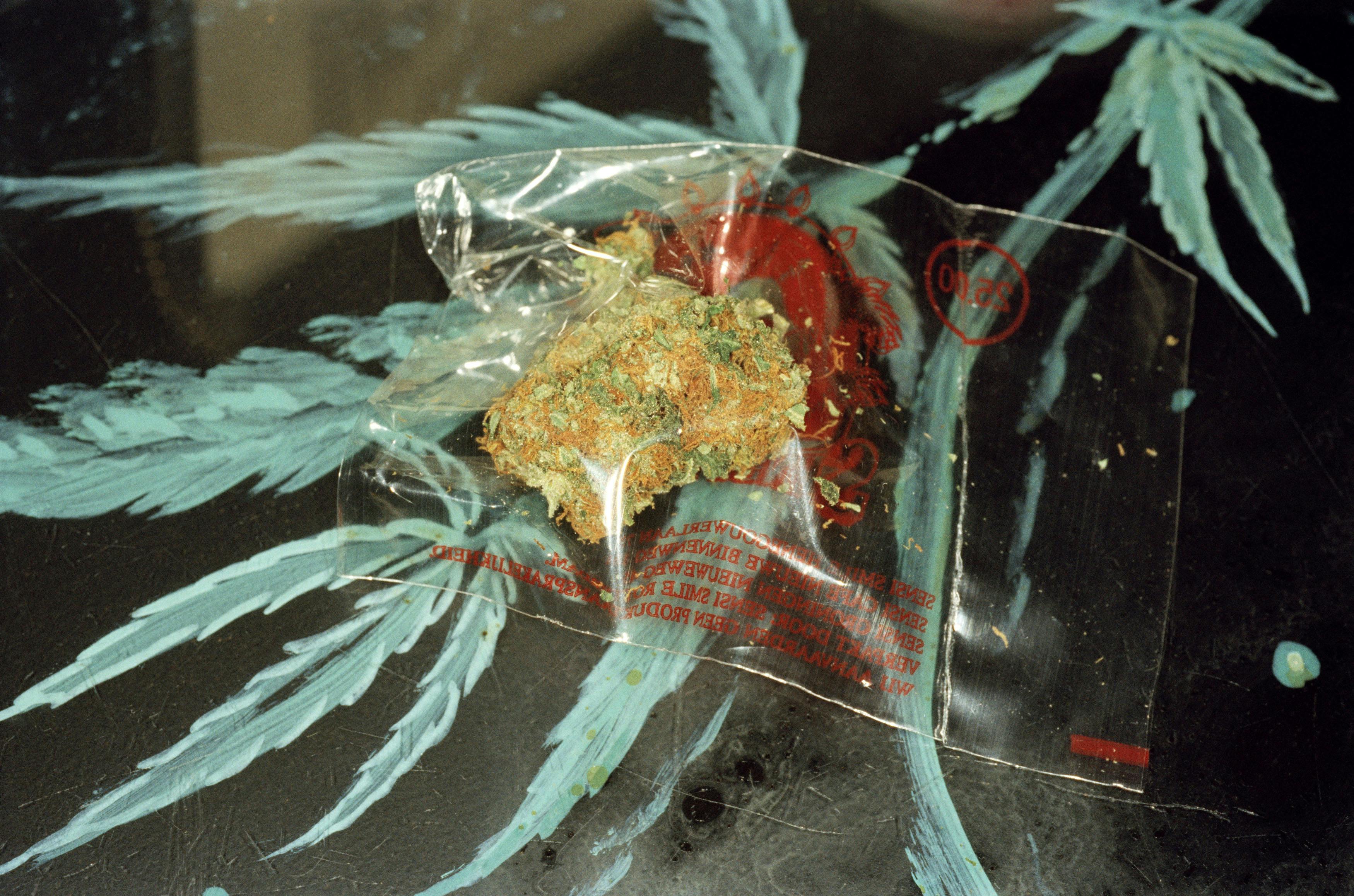 How Weed Works: A Conversation With Margaret Haney