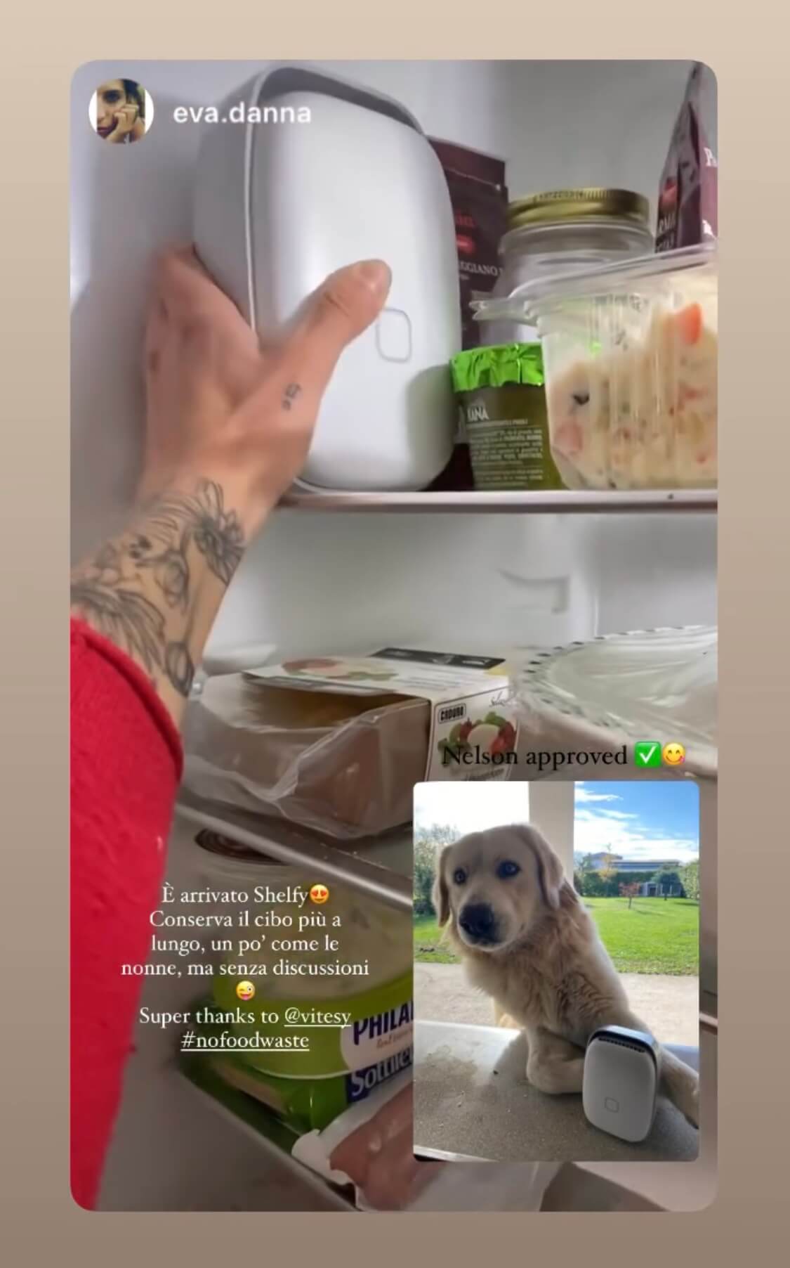 shelfy cliente frigo