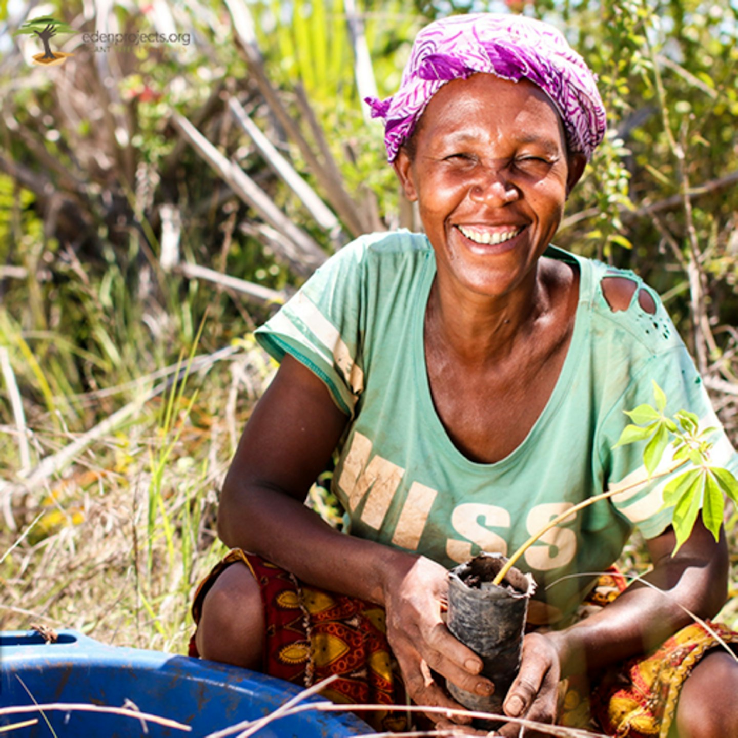 How to plant over 100k trees and leave a mark on the planet