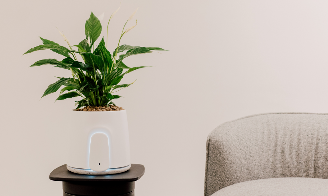 natede purificatore d'aria