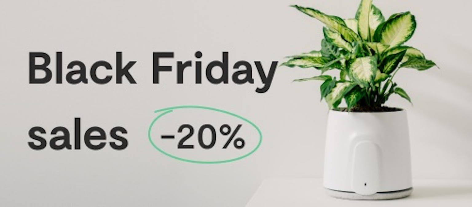 Black Friday sales -20%