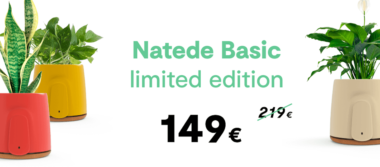 Natede Basic Limited Edition