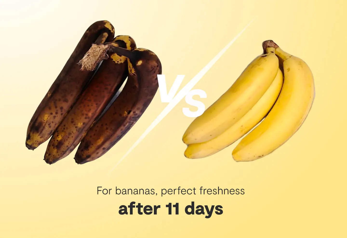 vitesy fruit bowl results on bananas