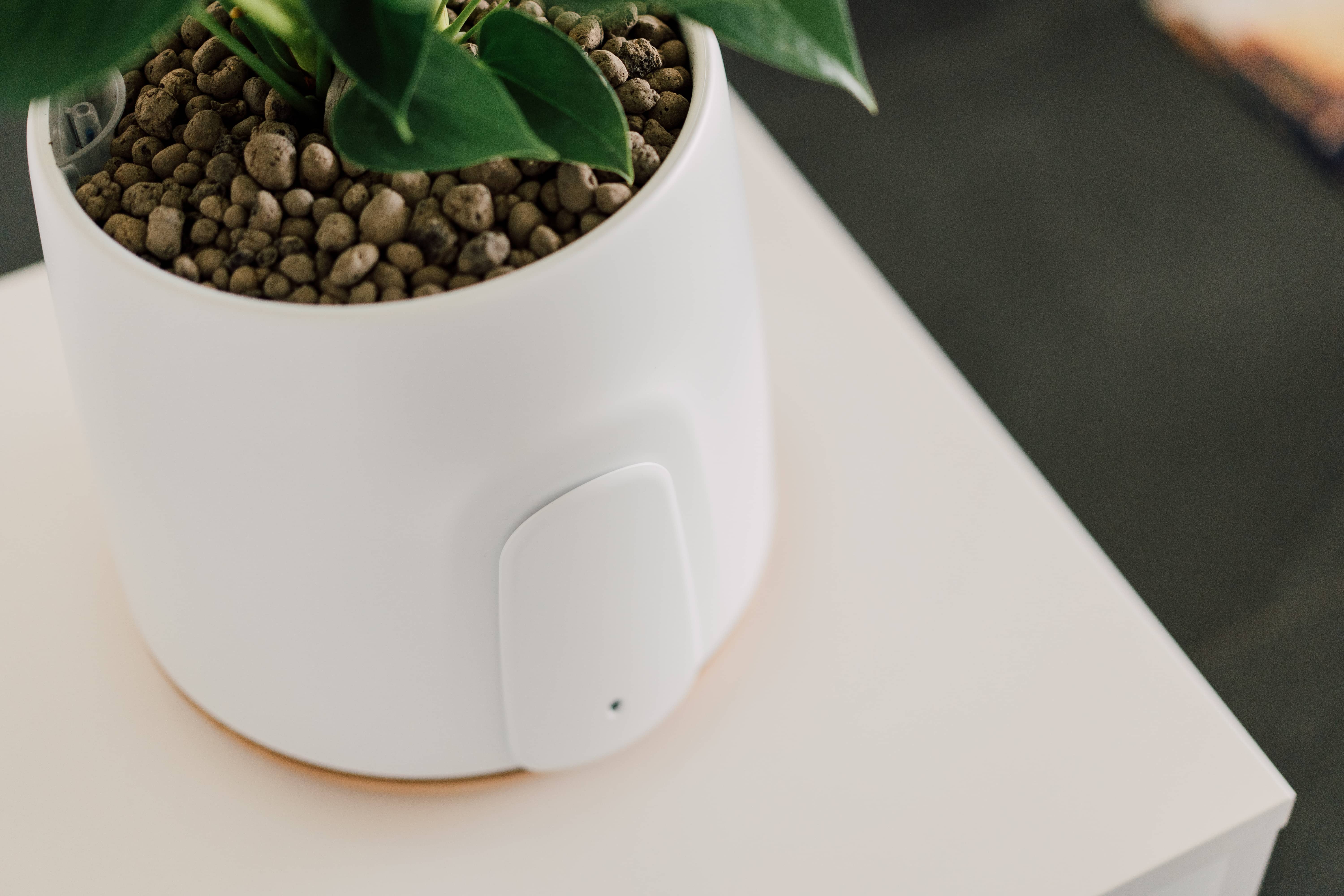 how does natural purification work?