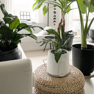 natede basic air purifier