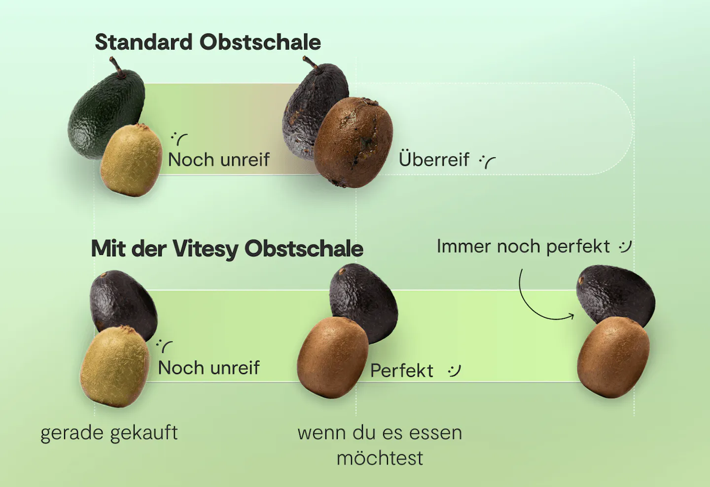 Vitesy Fruit Bowl – Ergebnisse bei Avocados und Kiwis