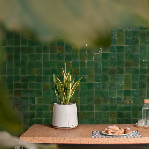 What do we breathe at home? 10 easy tips to get rid of air pollution