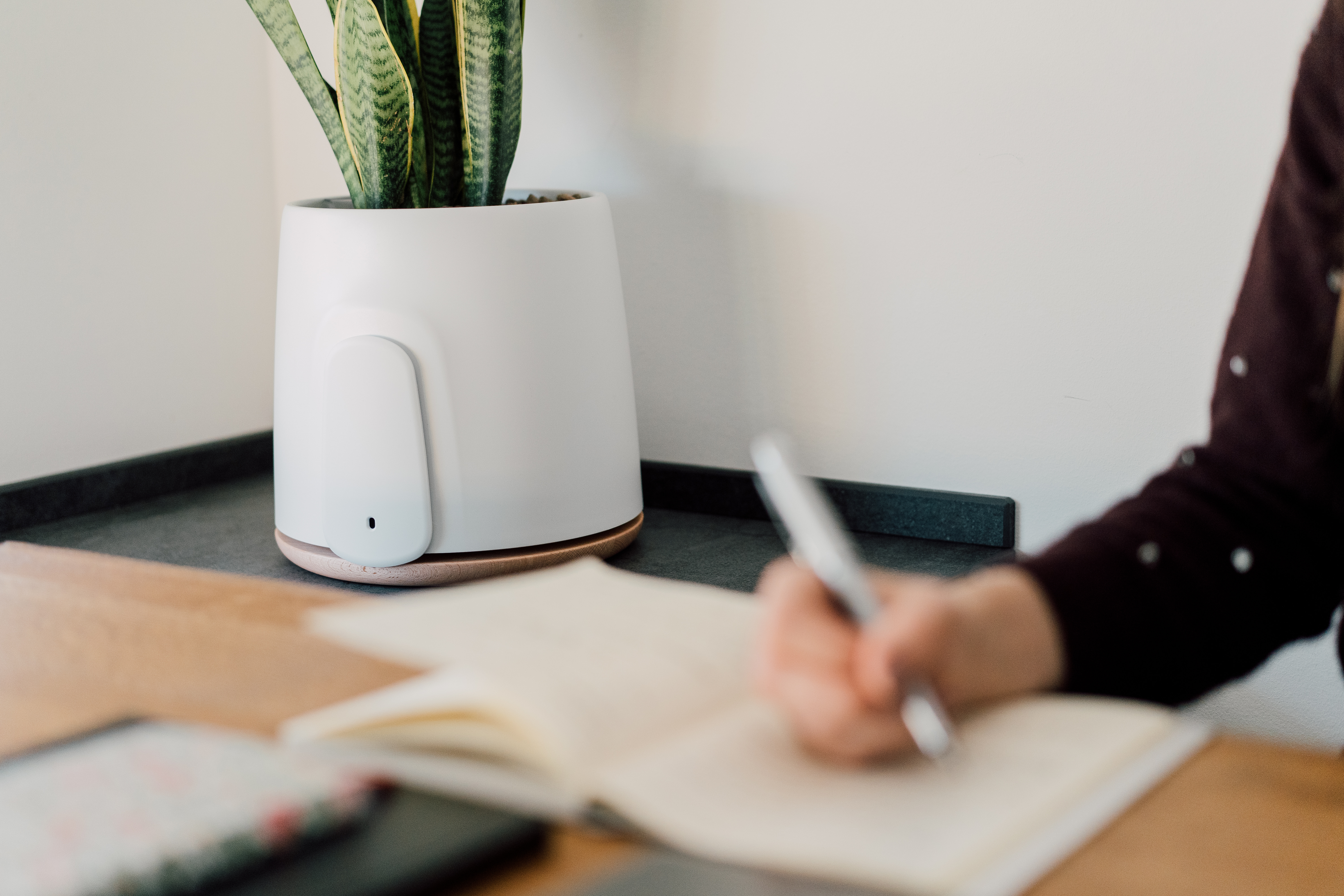 Natede è la soluzione sostenibile e iot contro l'inquinamento