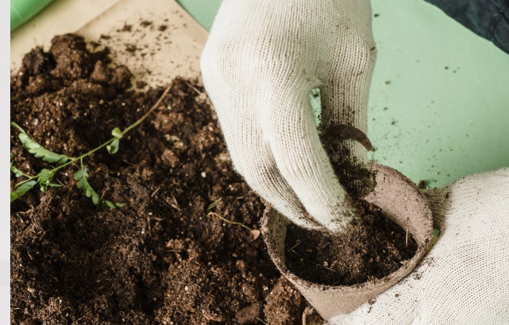 make your own compost