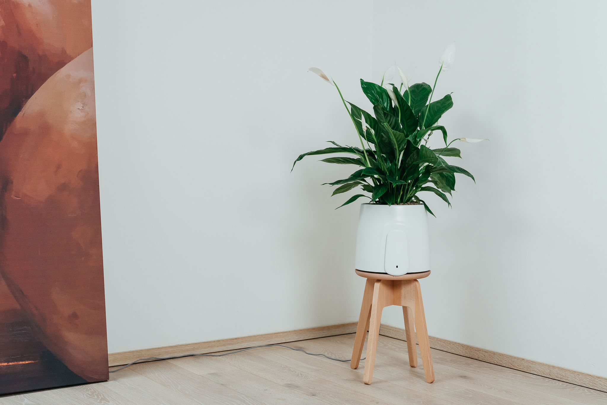 Natede può migliorare la qualità della mia aria?