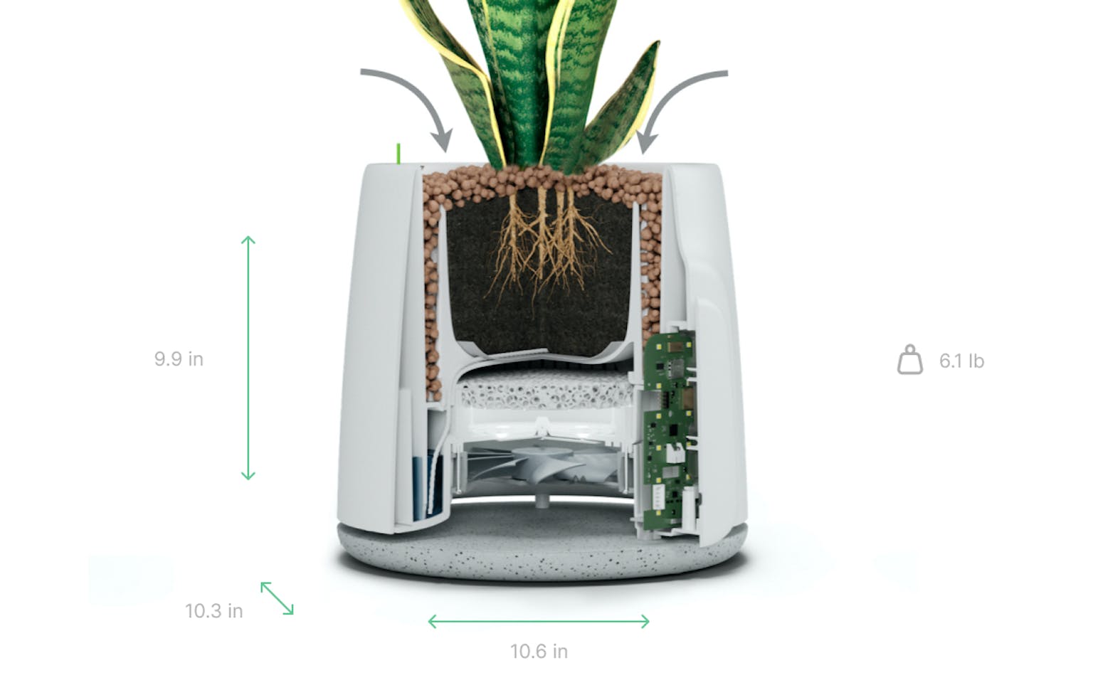 Natede Smart dimensioni