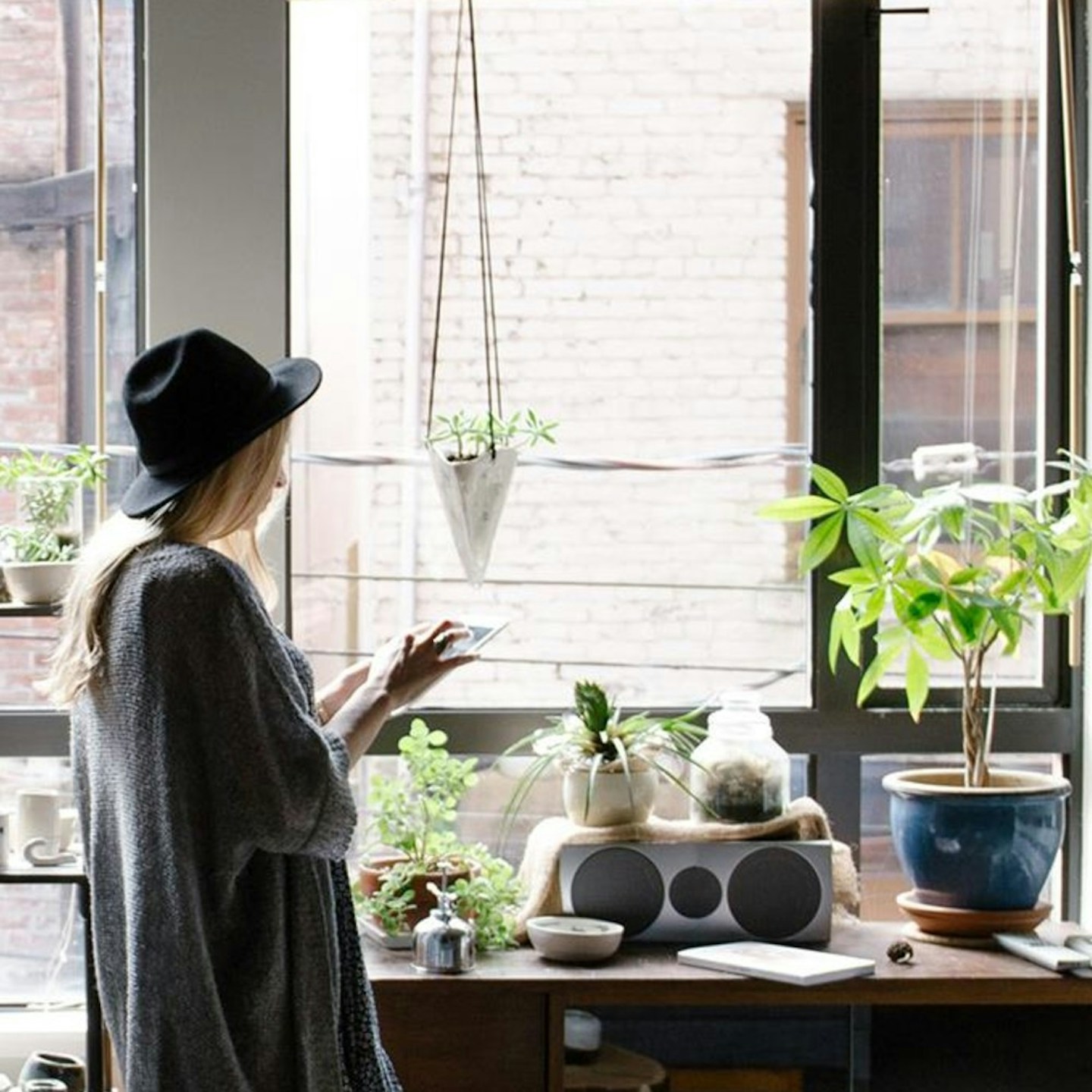 Evita questi 5 errori e le tue piante d’appartamento vivranno per sempre