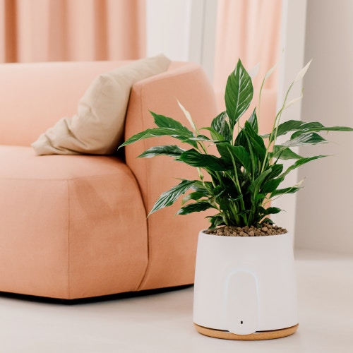 Clearing the air: a guide to help you choose the right air purifier