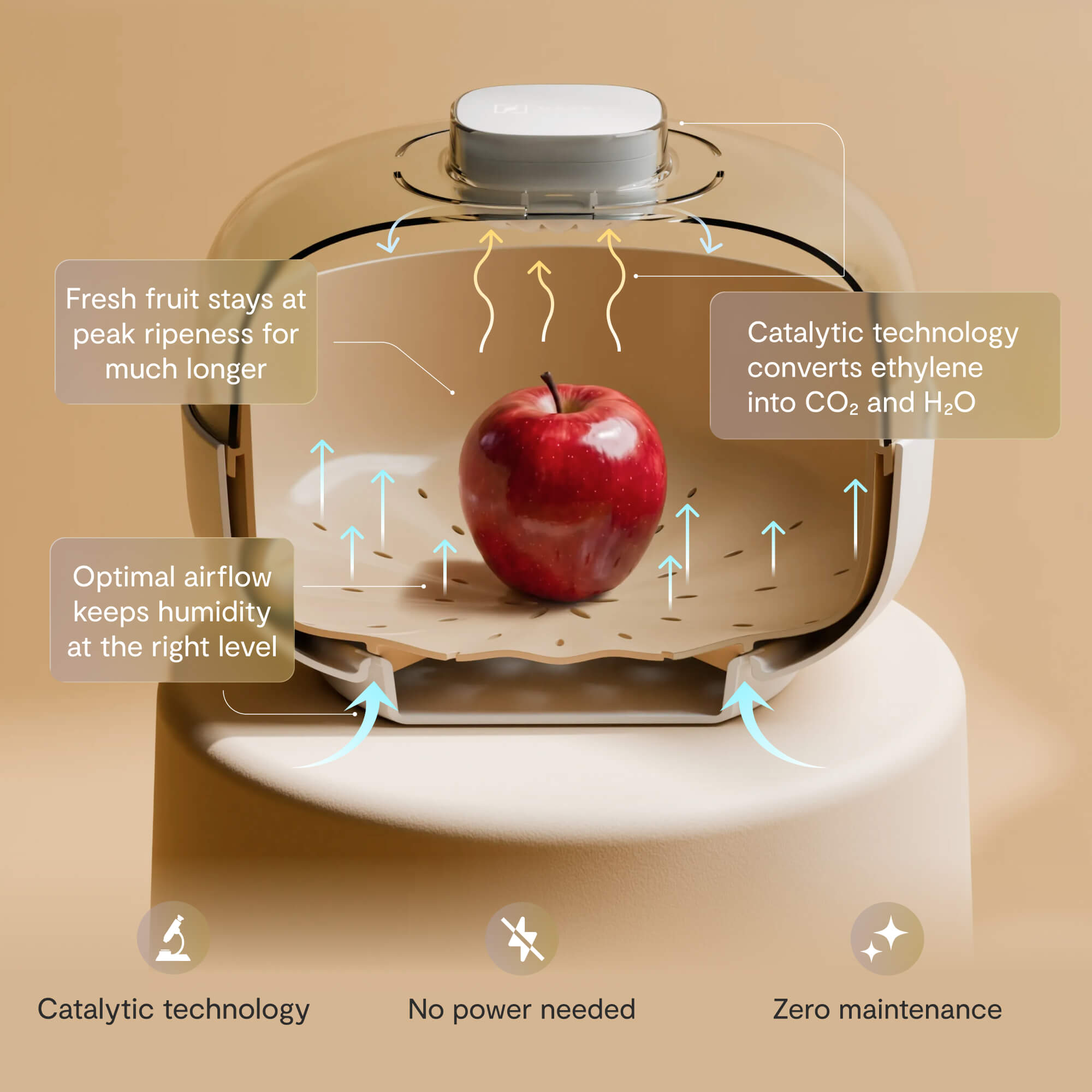 vitesy fruit bowl how it works