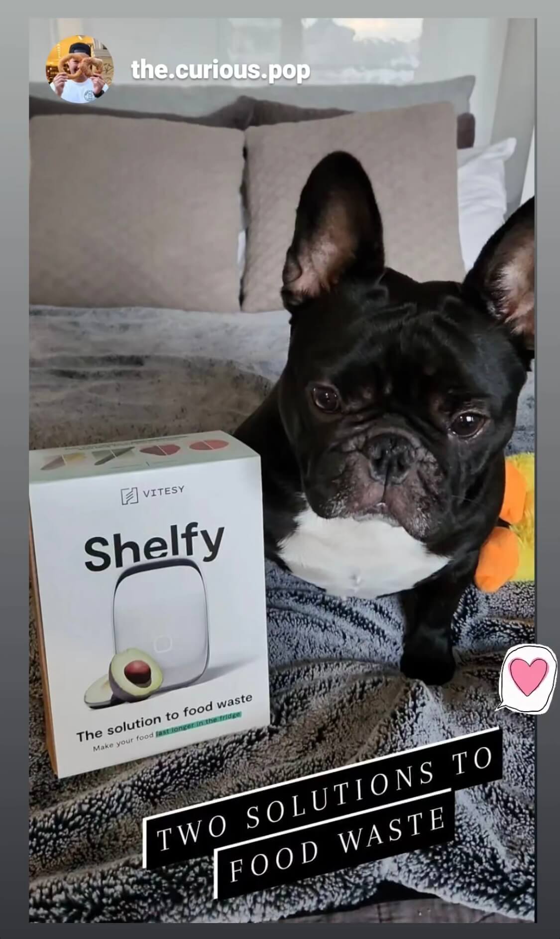 soluzione foodwaste shelfy