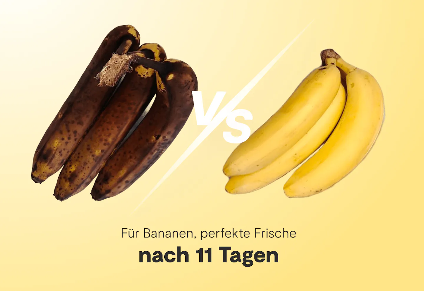 Vitesy Fruit Bowl – Ergebnisse bei Bananen