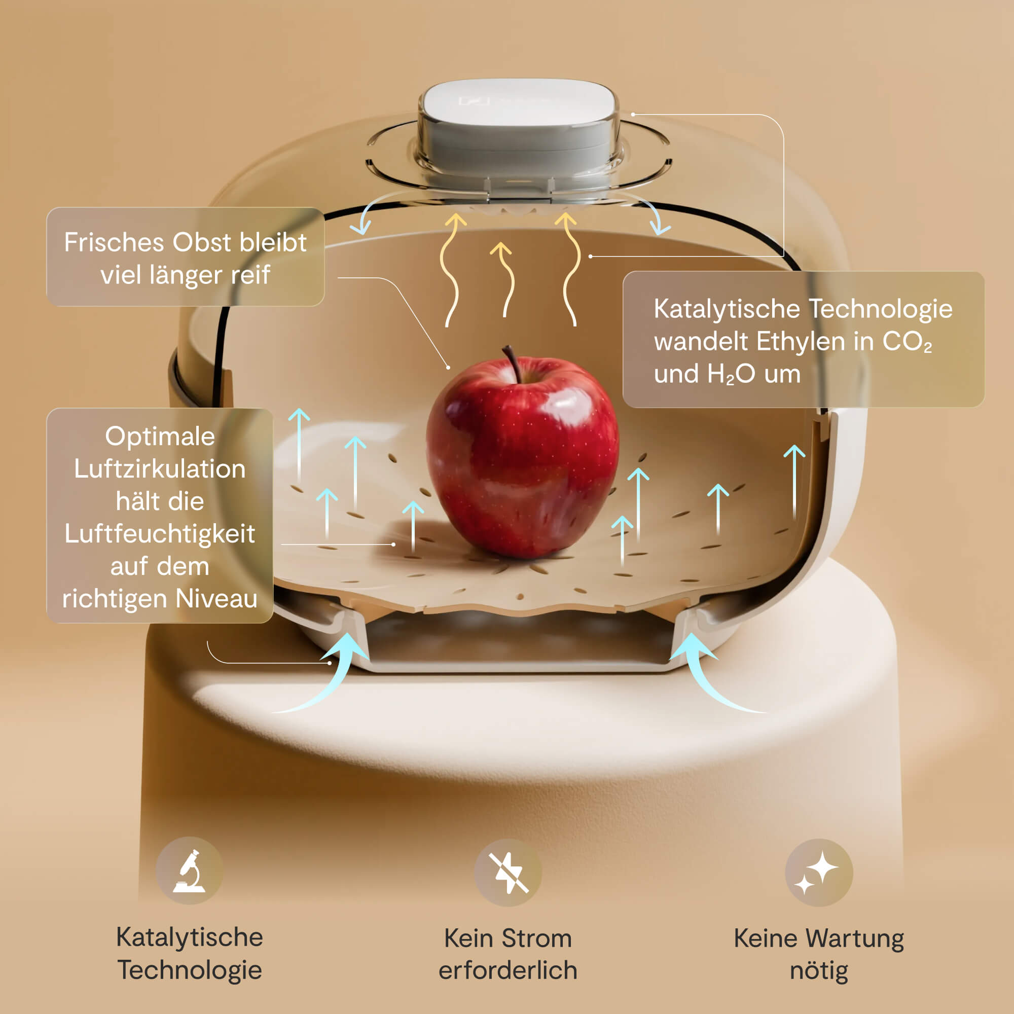 Vitesy Fruit Bowl – So funktioniert's