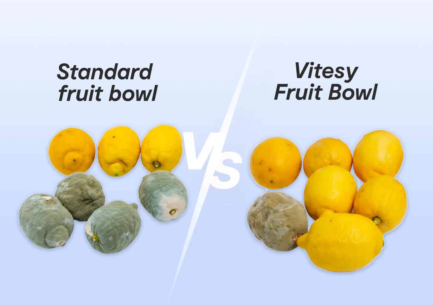 vitesy fruit bowl prevent cross-contamination mold and spores