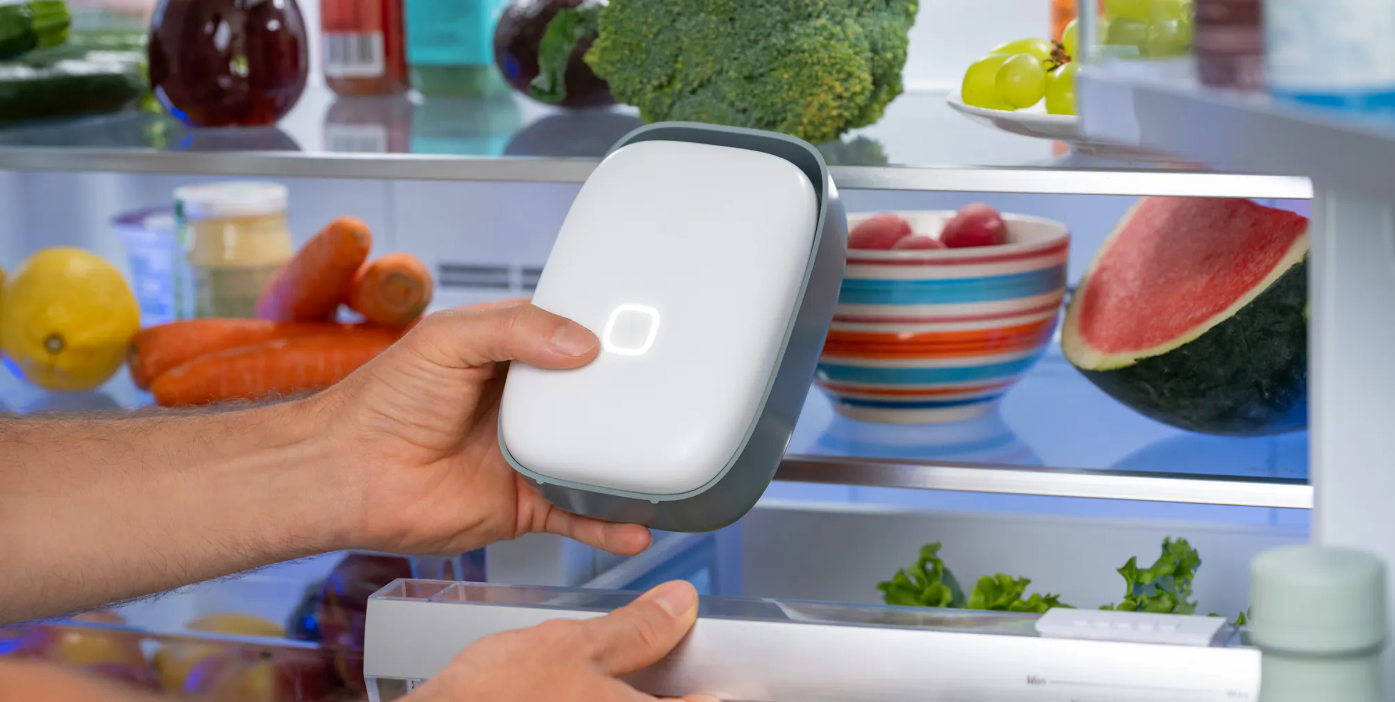 Keep your fridge fresh while you're gone with Shelfy