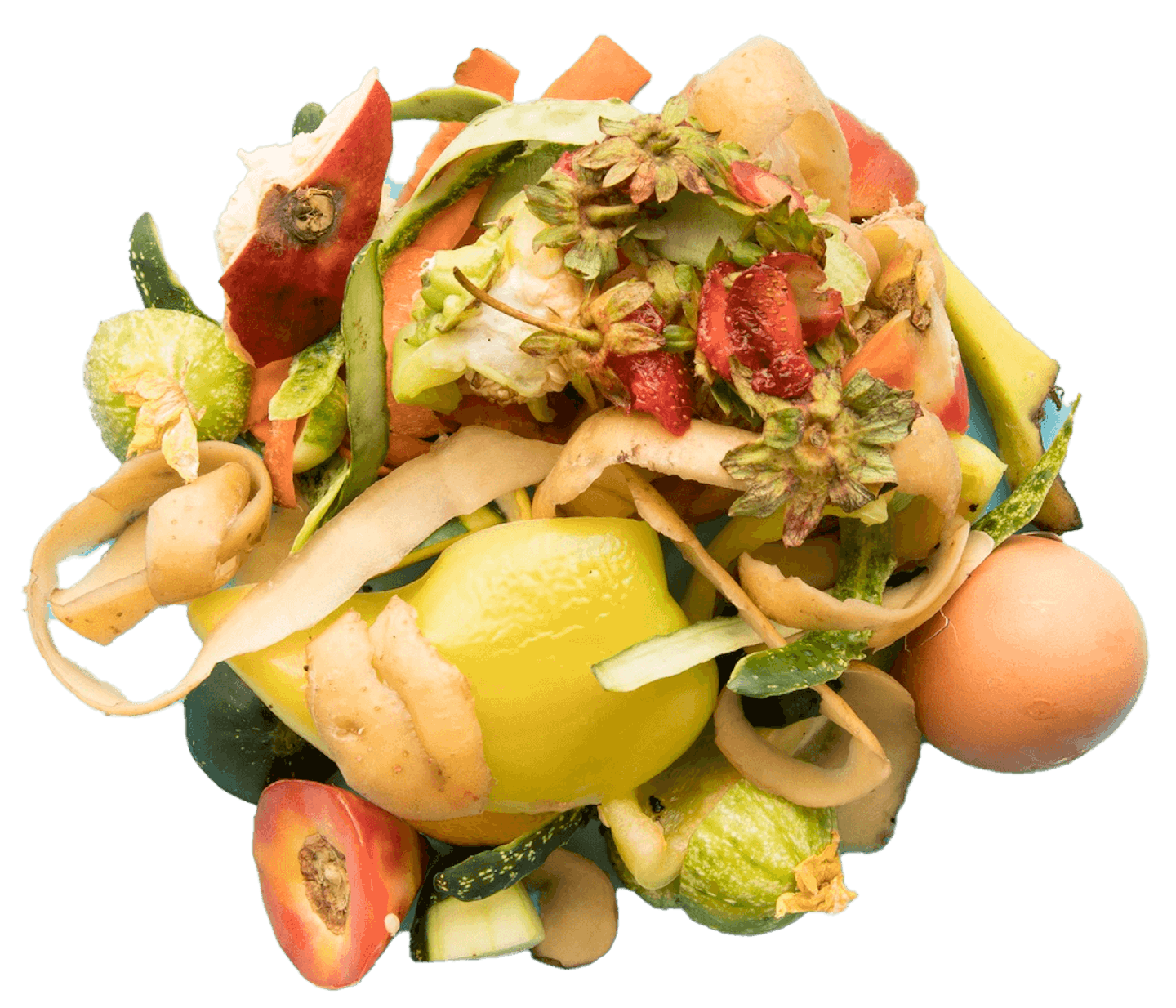 food waste