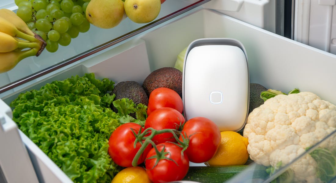 shelfy in the crisper