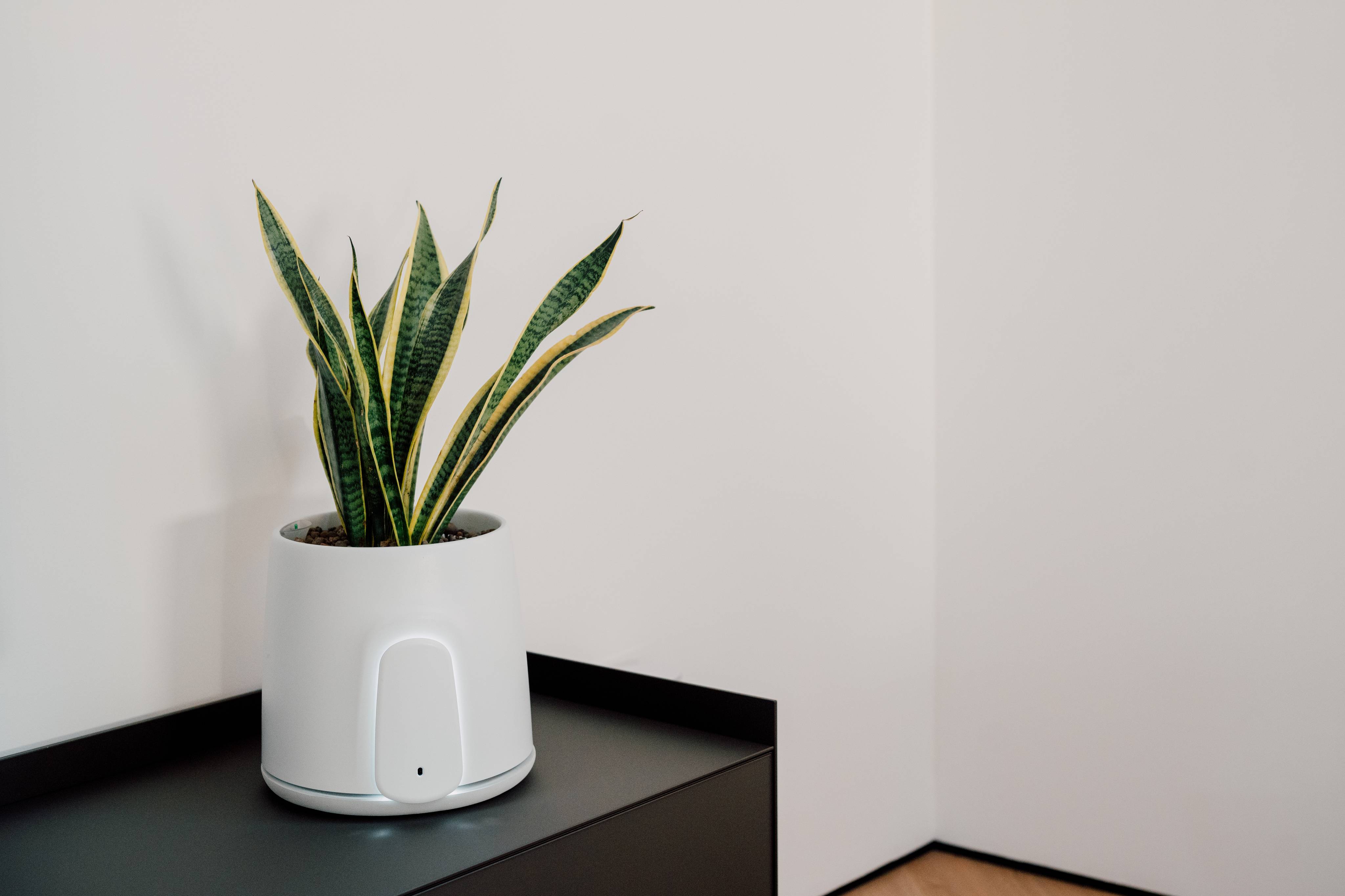 natede smart air purifier