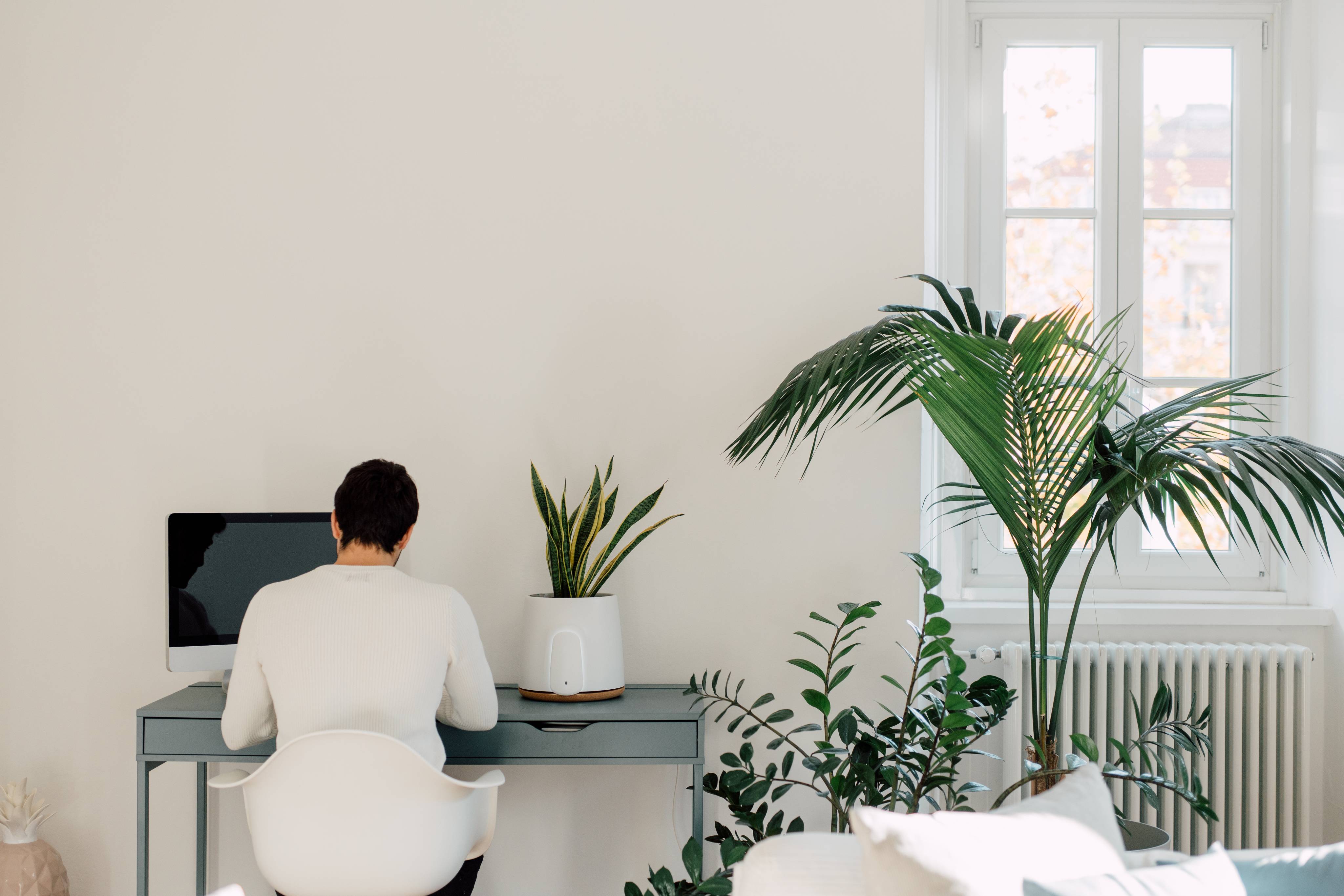 assistente tecnologico natede