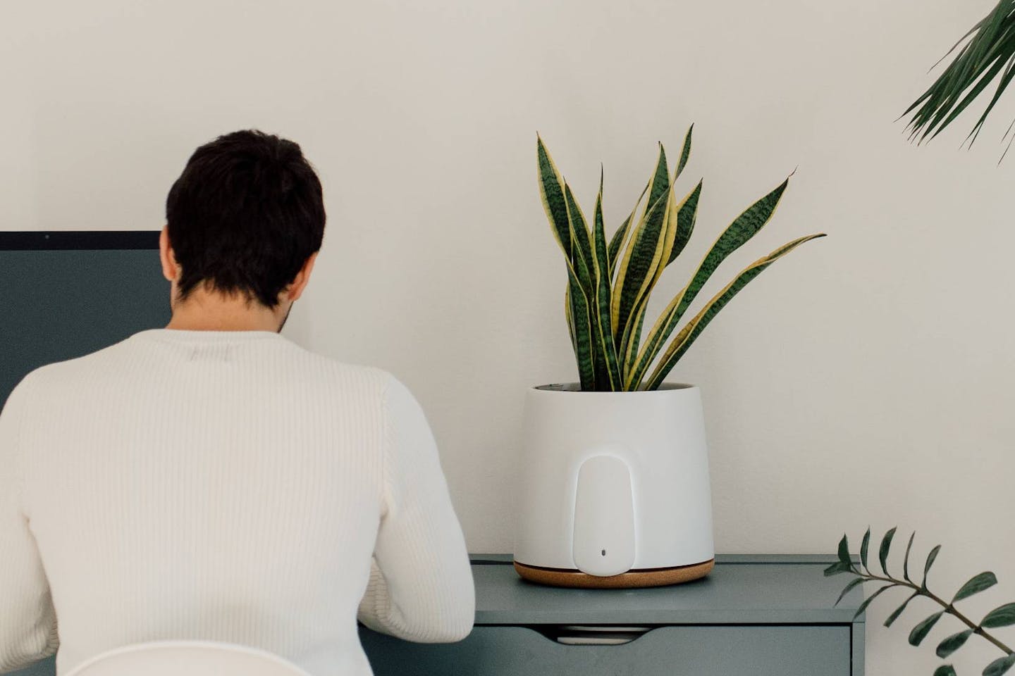 assistente tecnologico natede