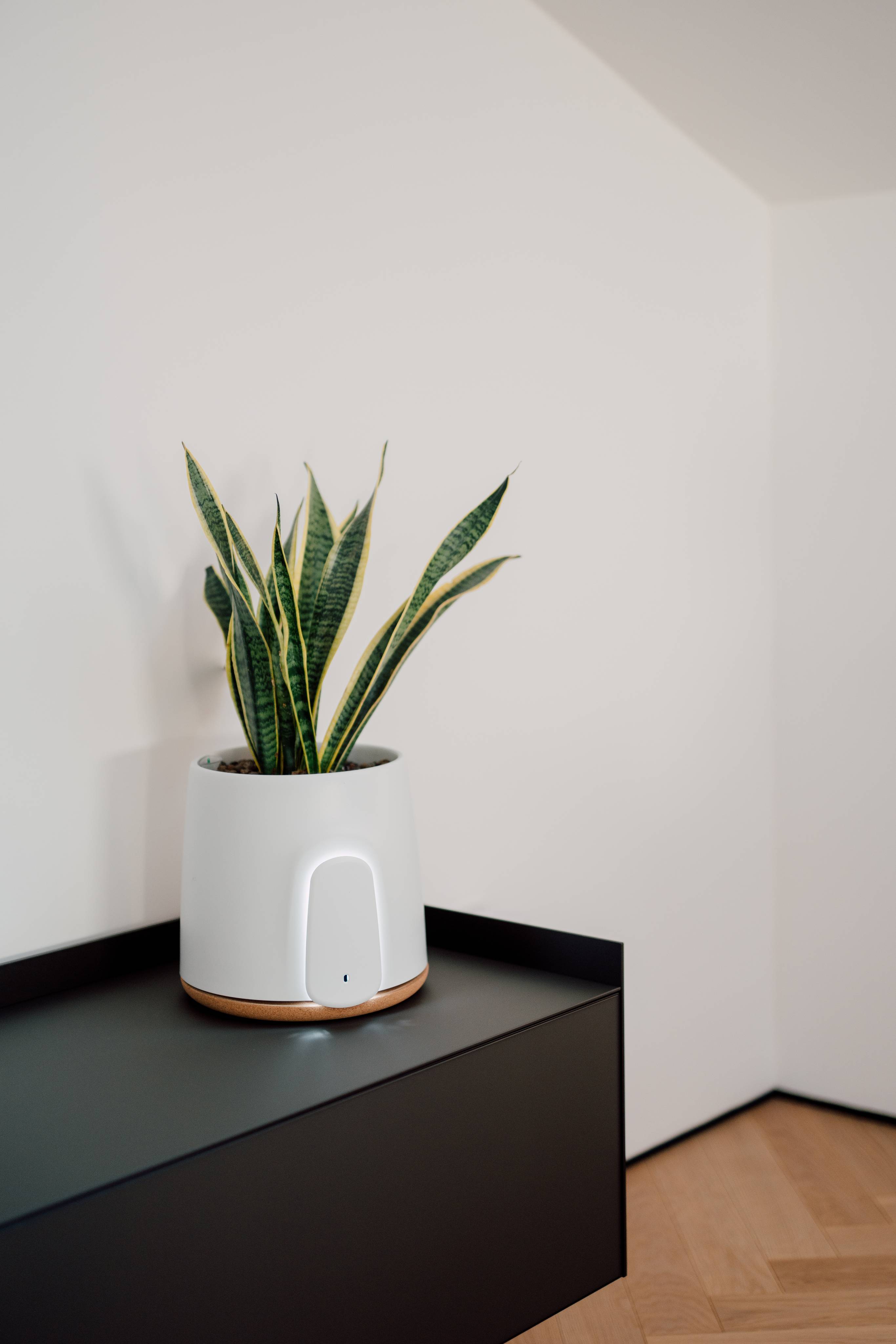 Natede natural air purifier
