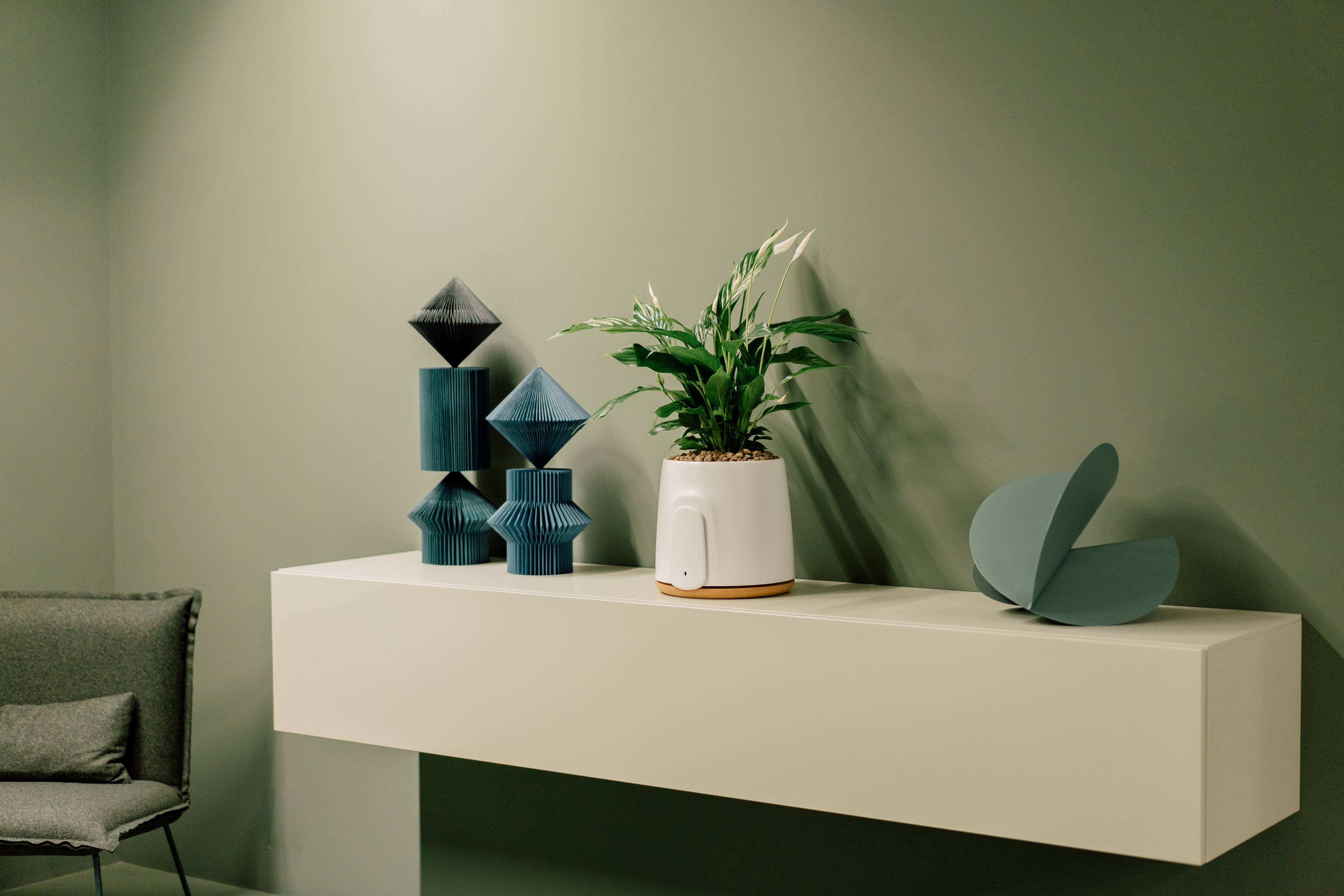 The best plants for your Natede