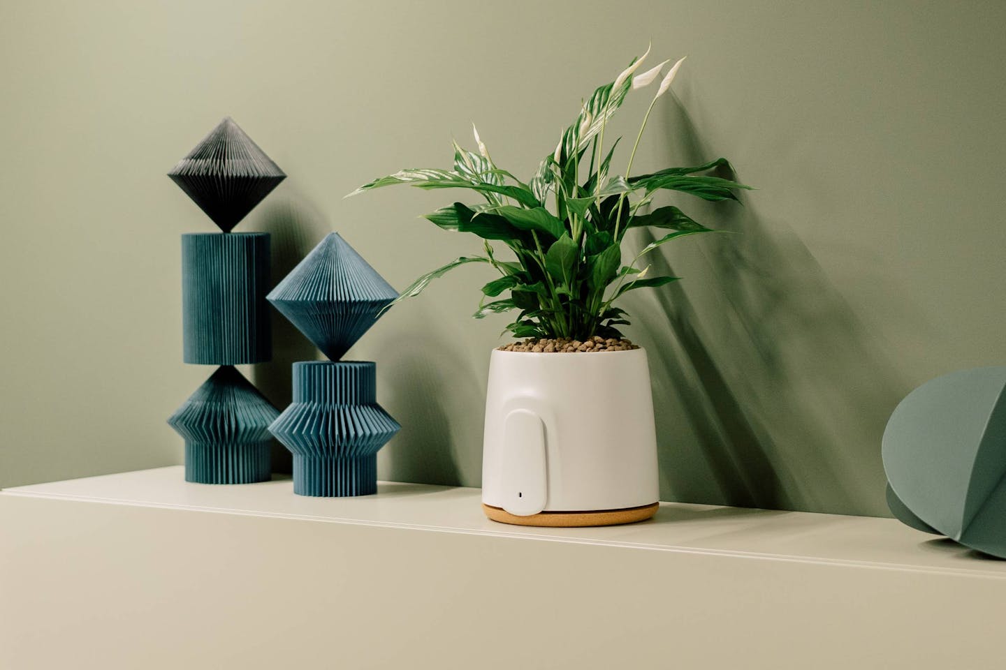 Le migliori piante per il tuo Natede