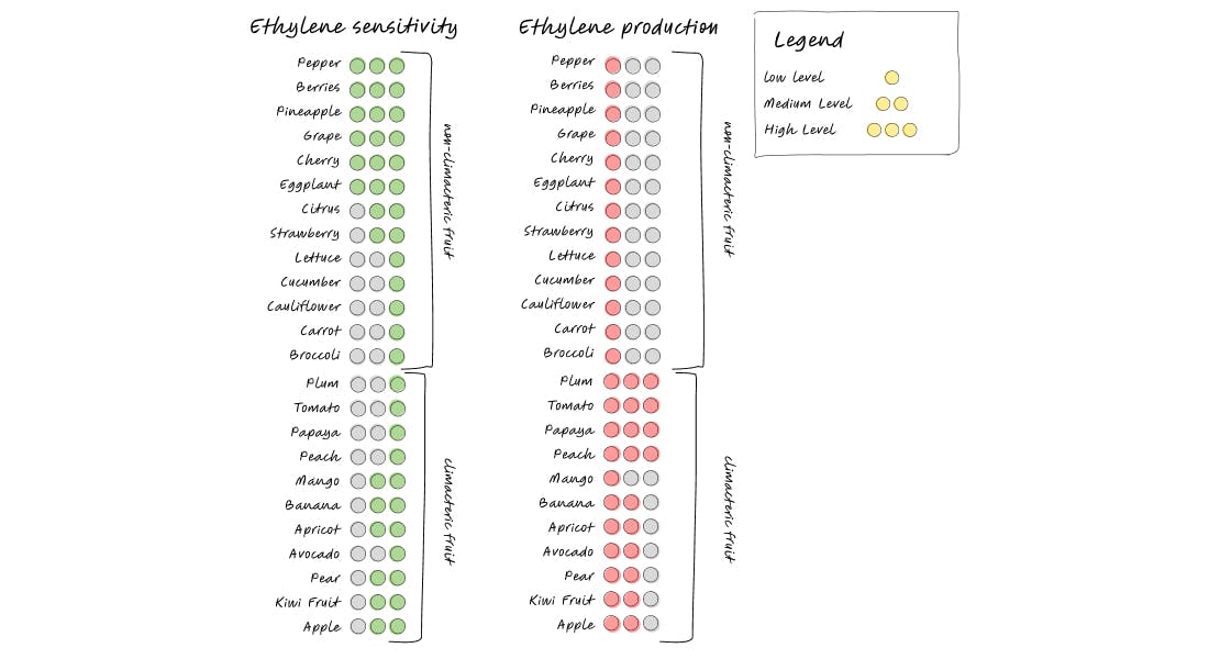 ethylene emission fruits and vegetables