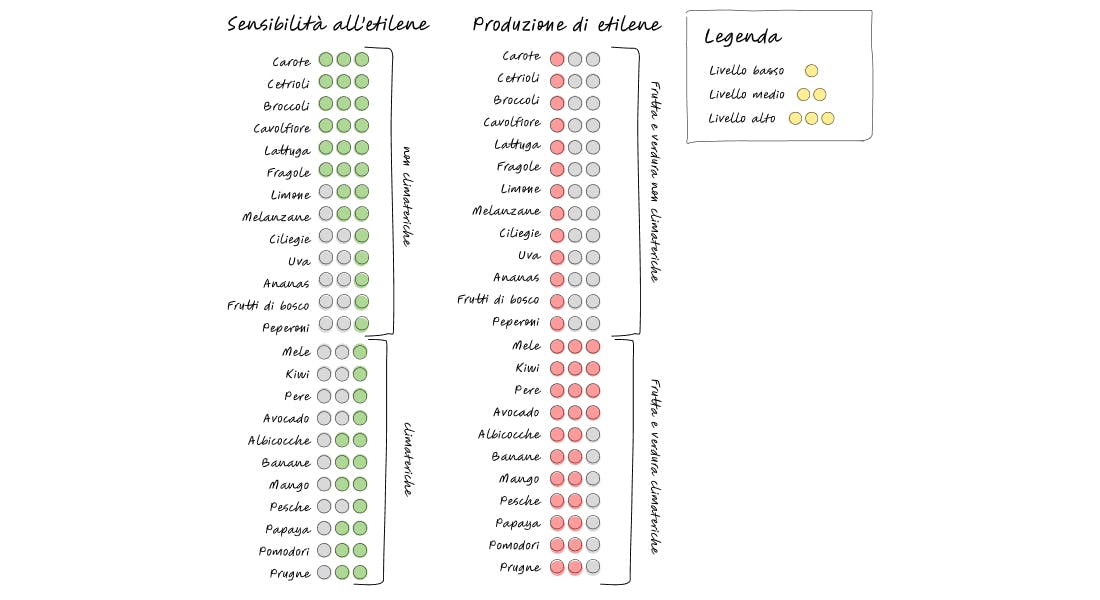 sensibilità all'etilene