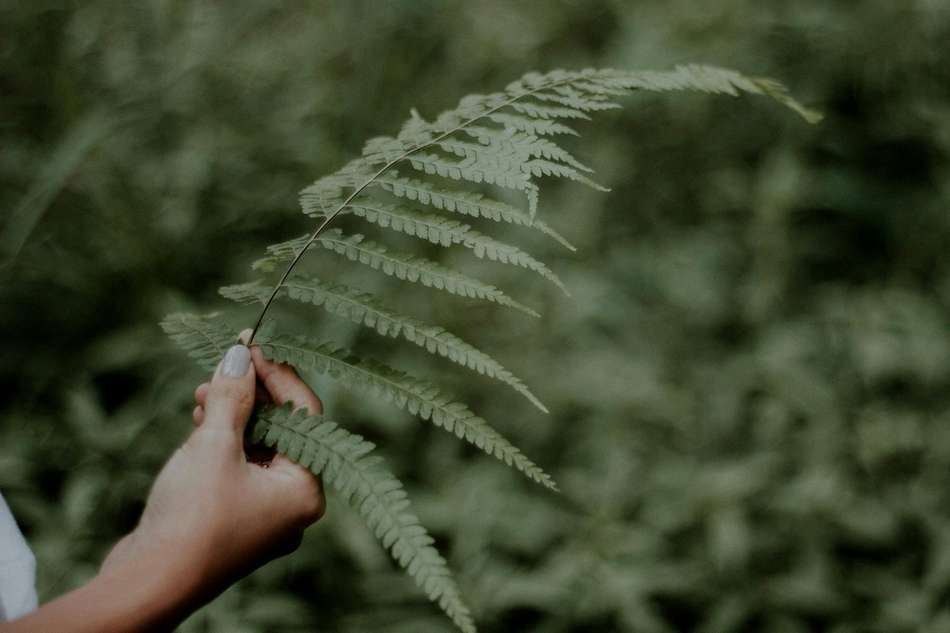 come possiamo fermare il greenwashing