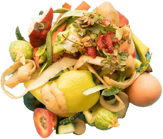 food waste problem
